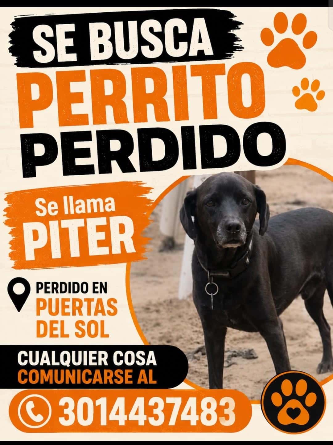 Piter