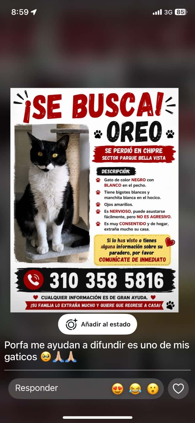 Oreo