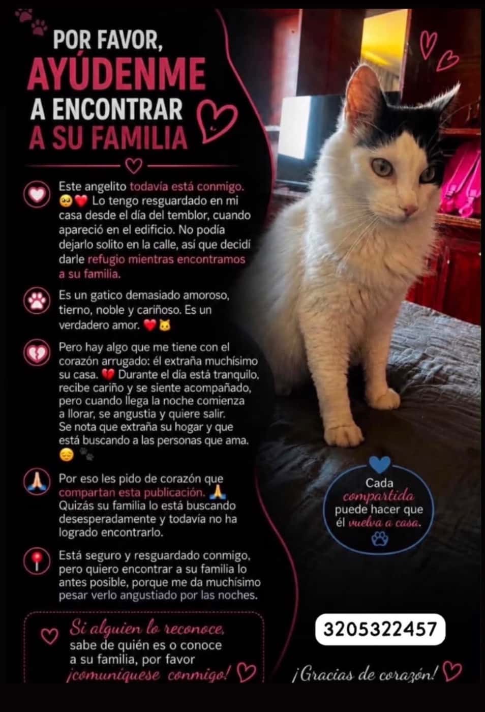 Mascota