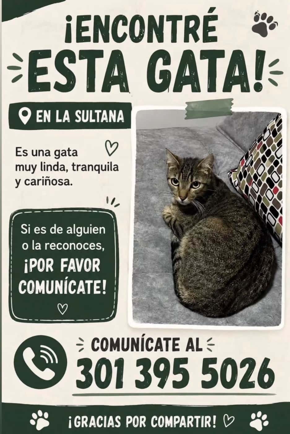 Mascota