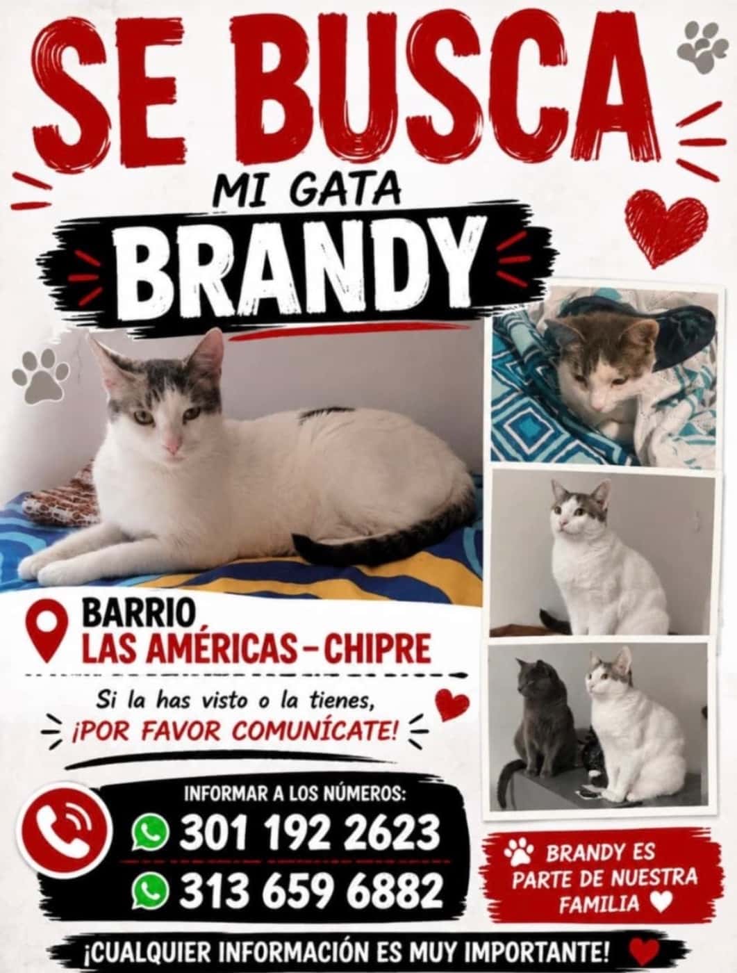 Brandy