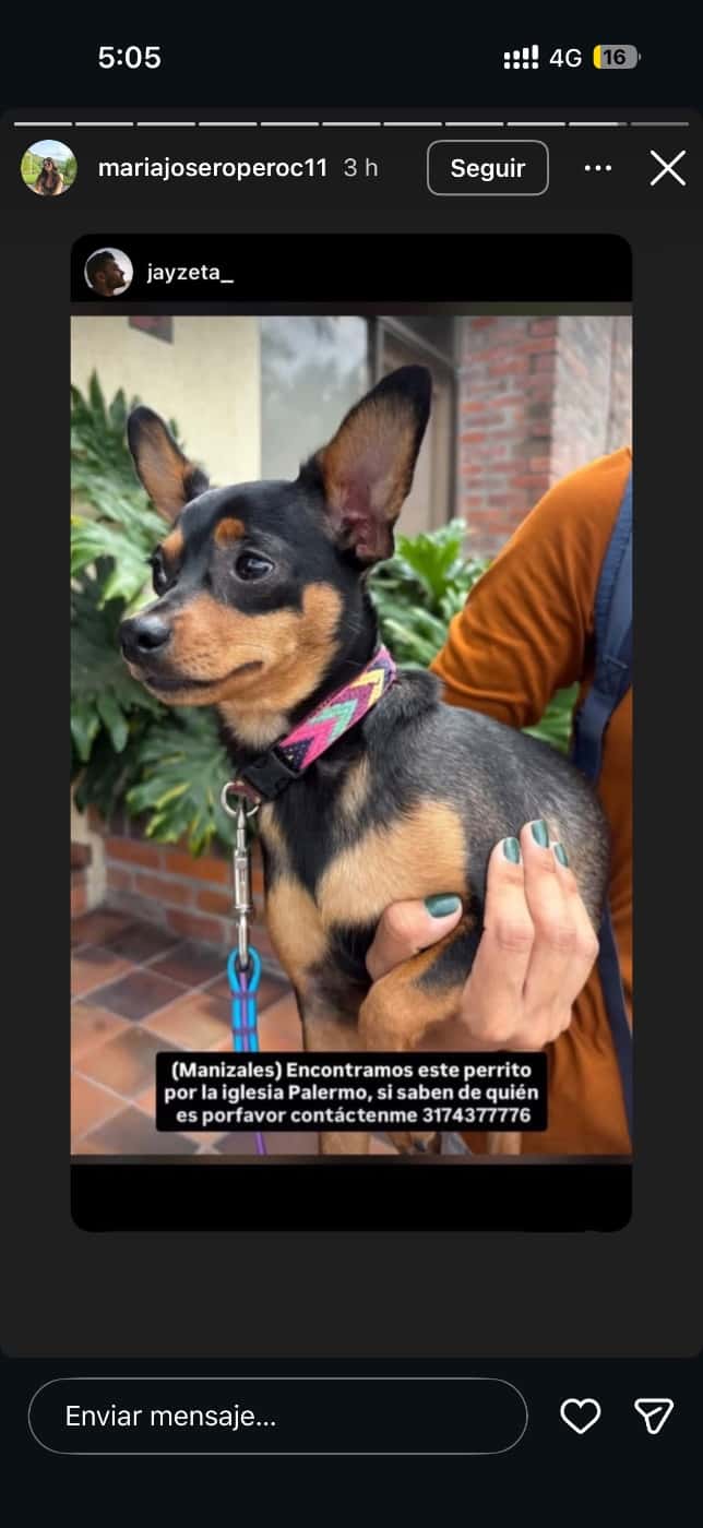 Mascota