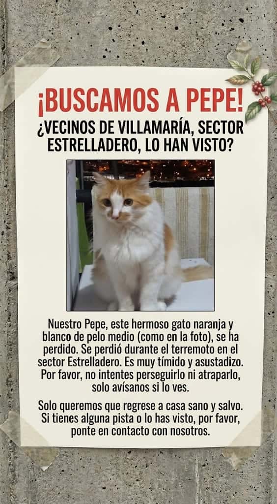 Pepe