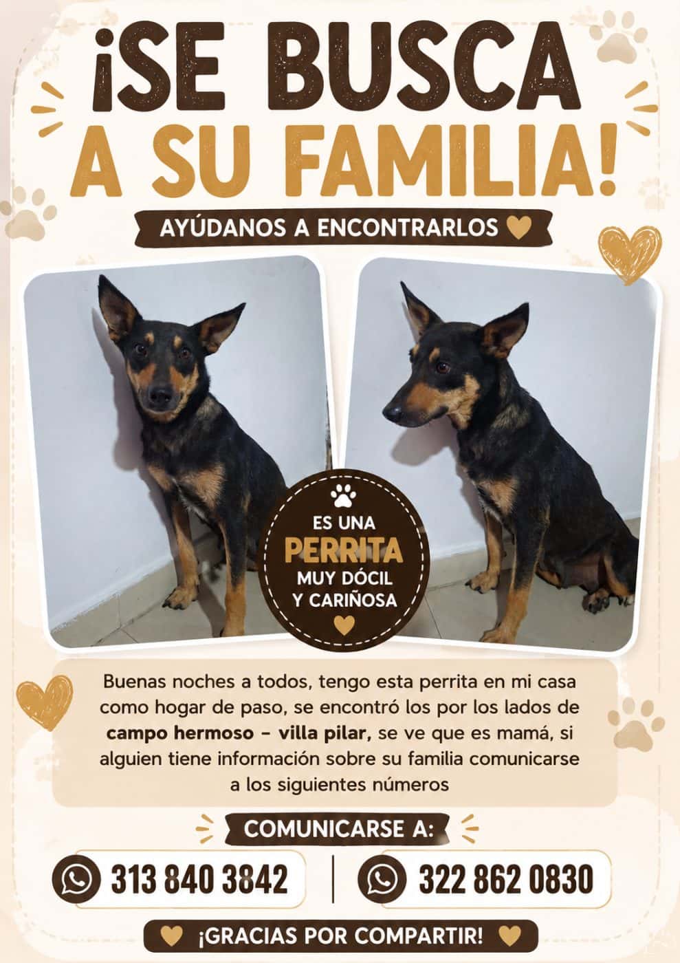 Mascota