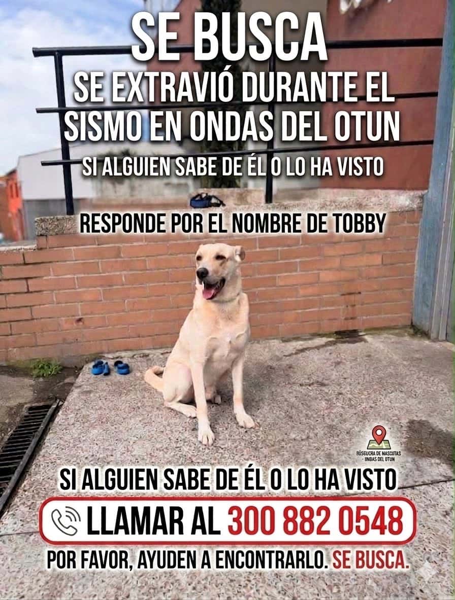 Tobby