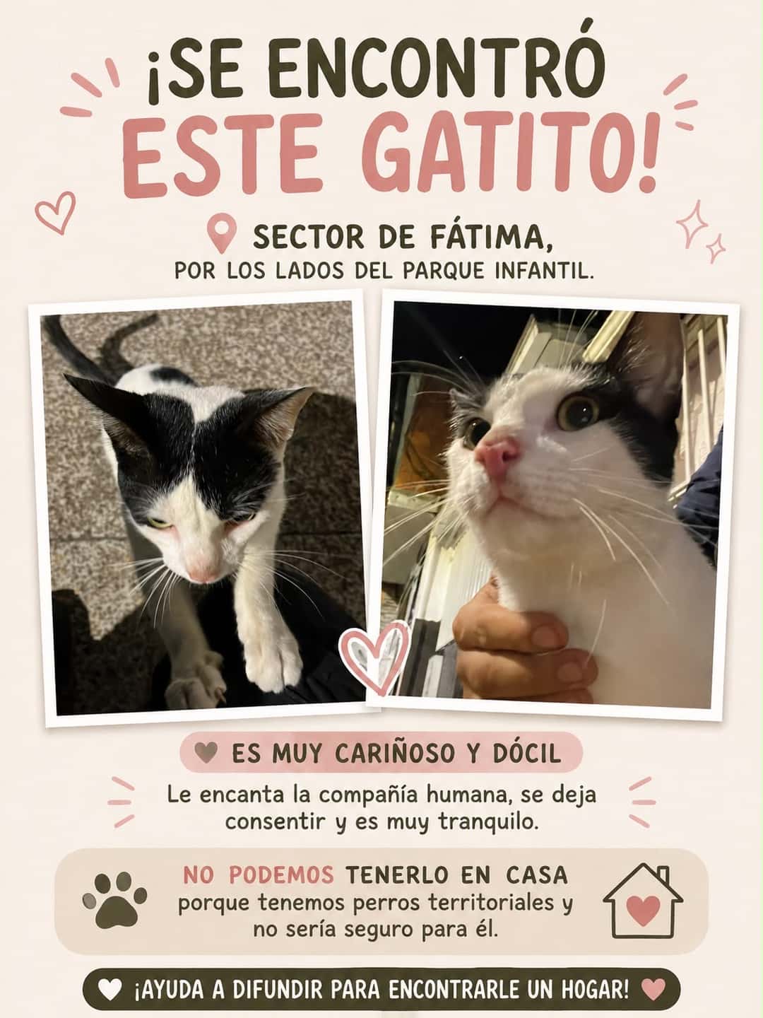 Mascota
