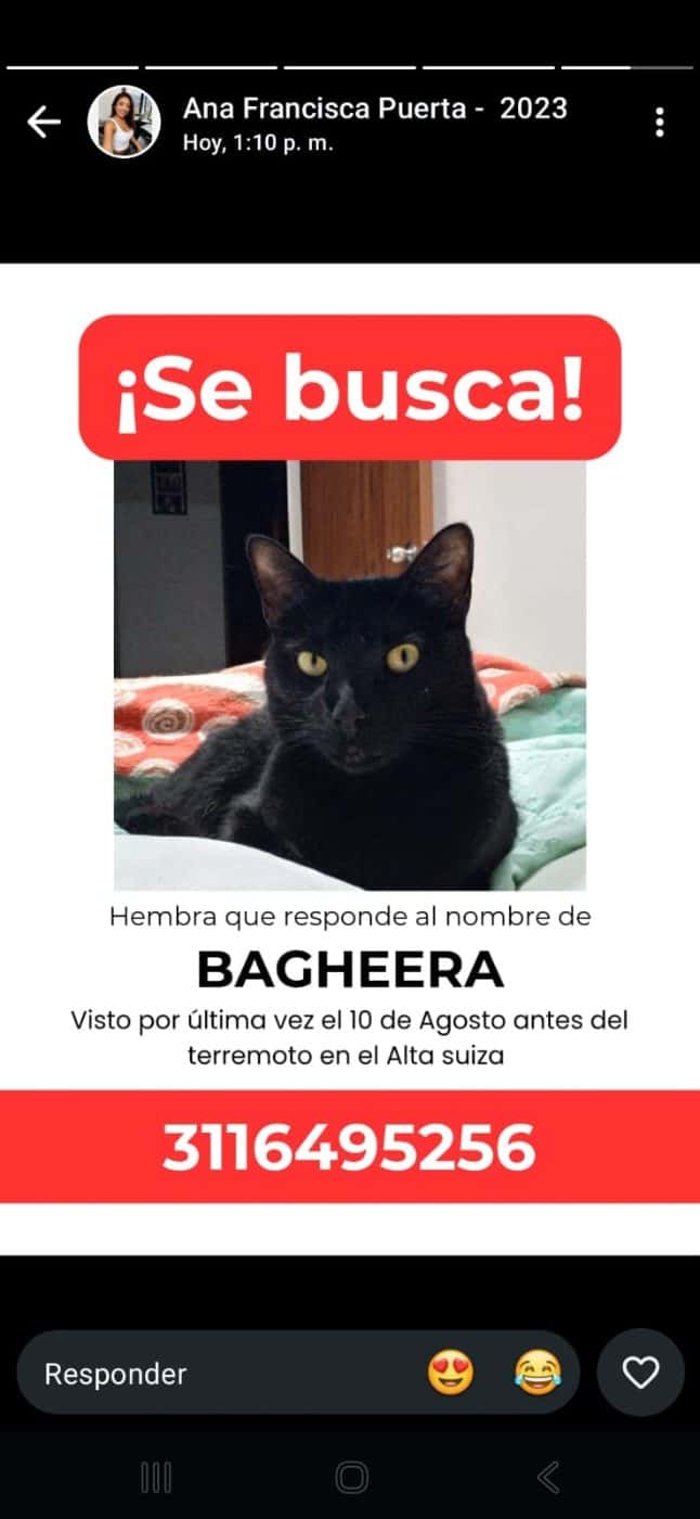 Bagheera