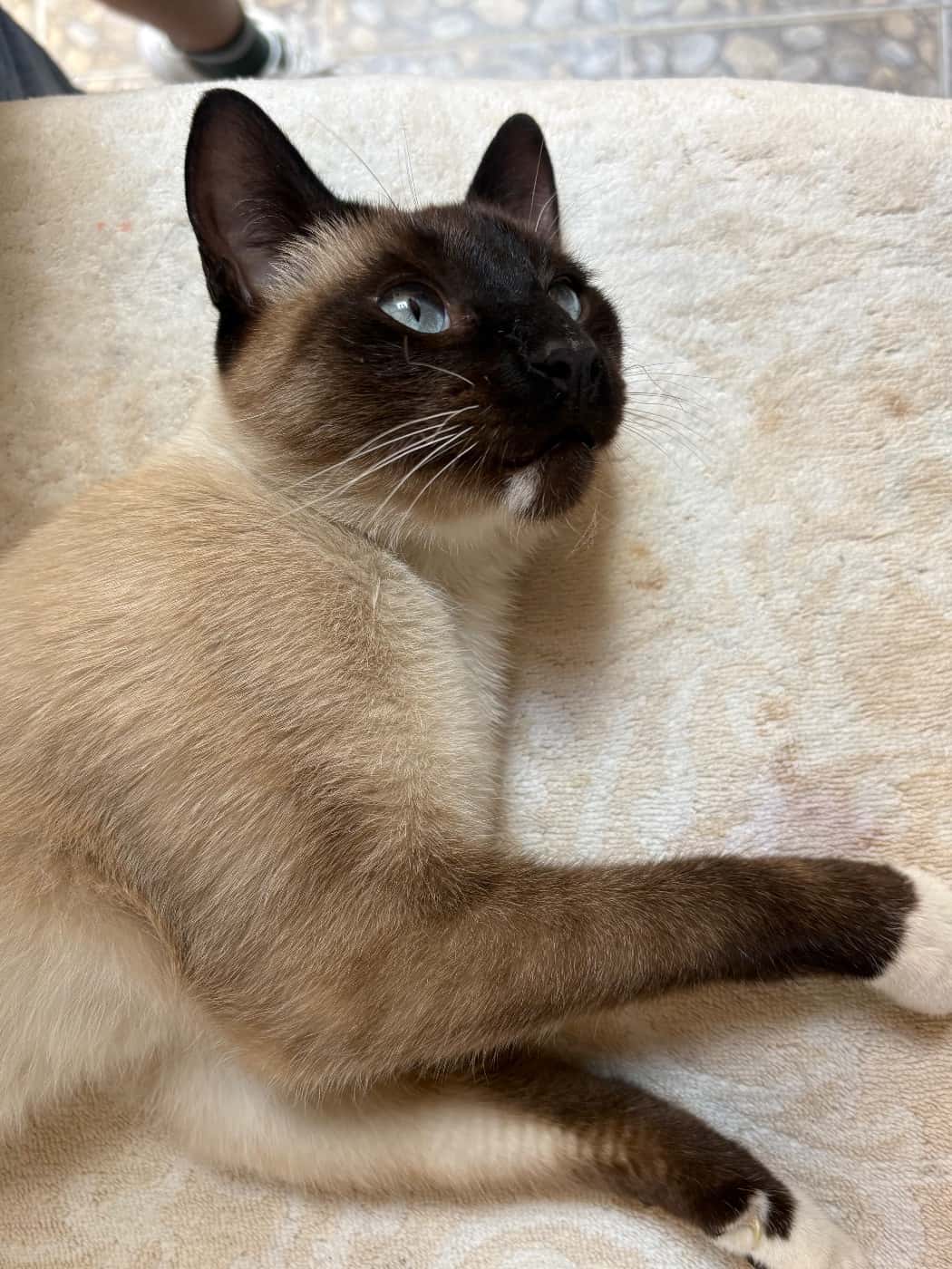 Desconocido