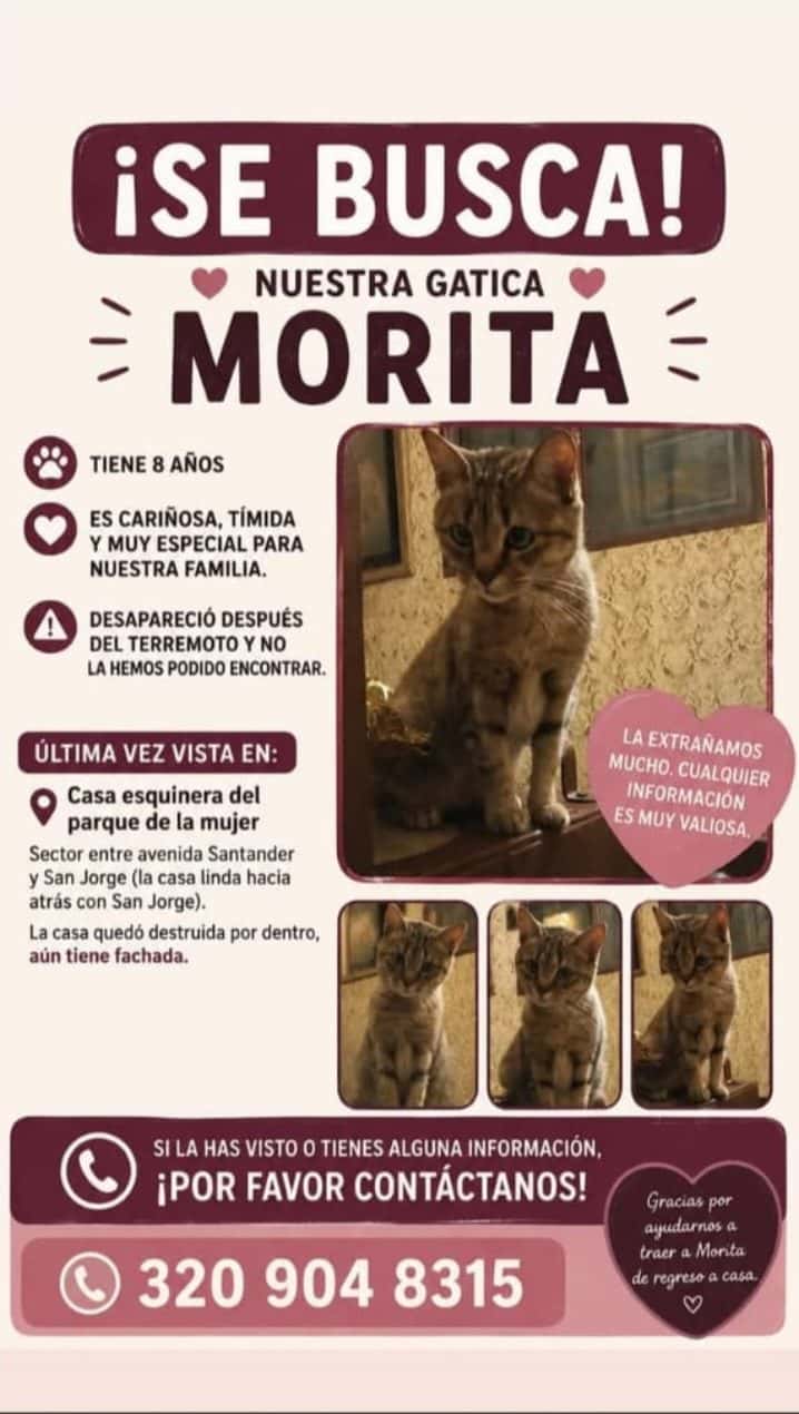 Morita