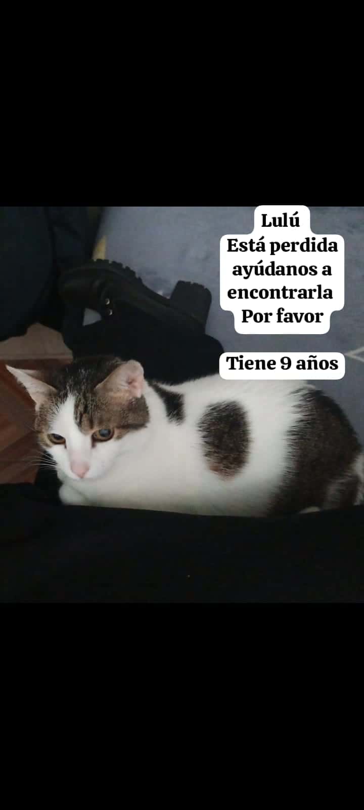 Lulú