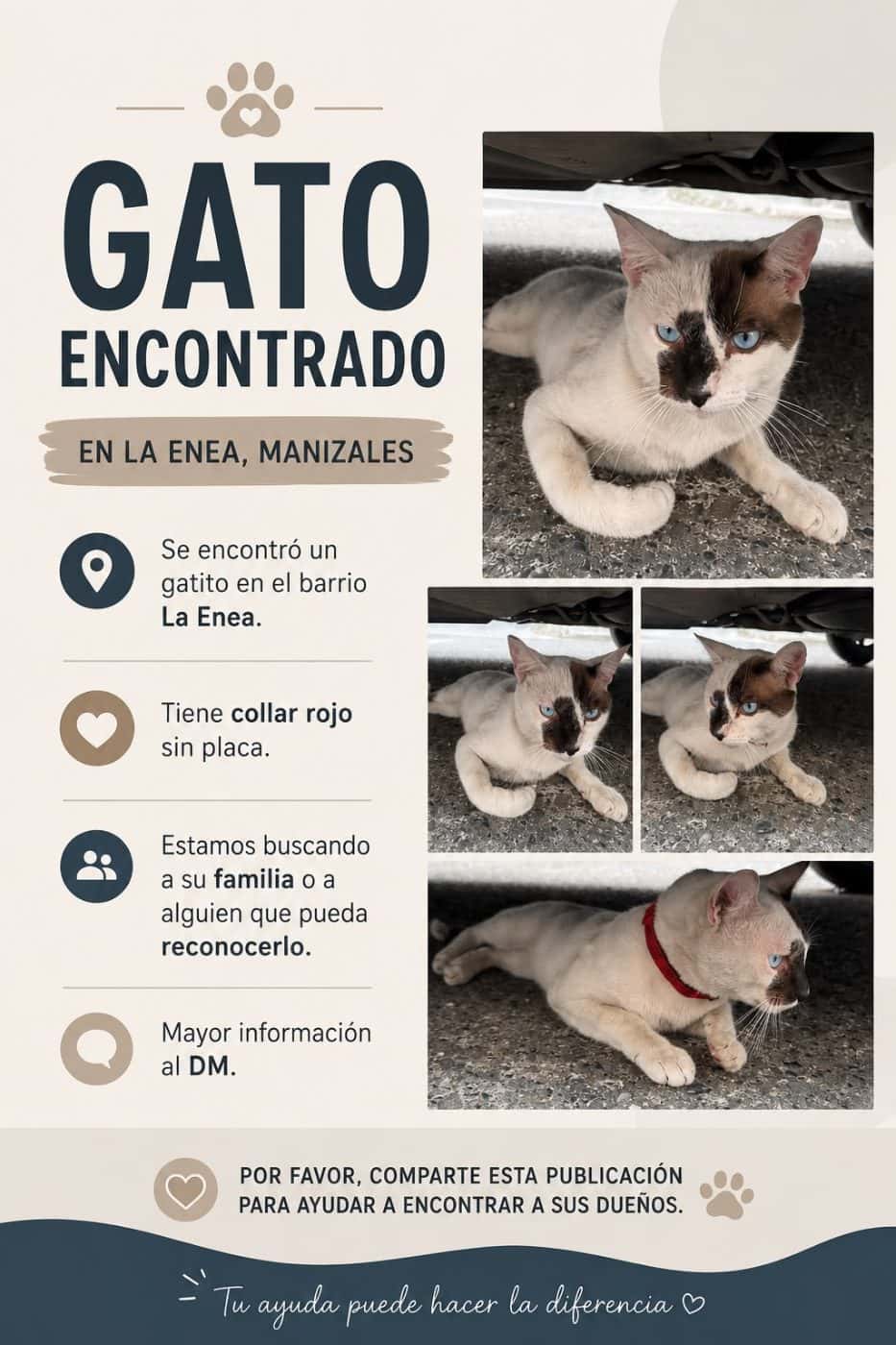Mascota