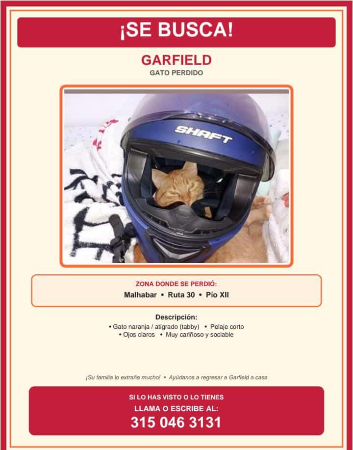 Garfield