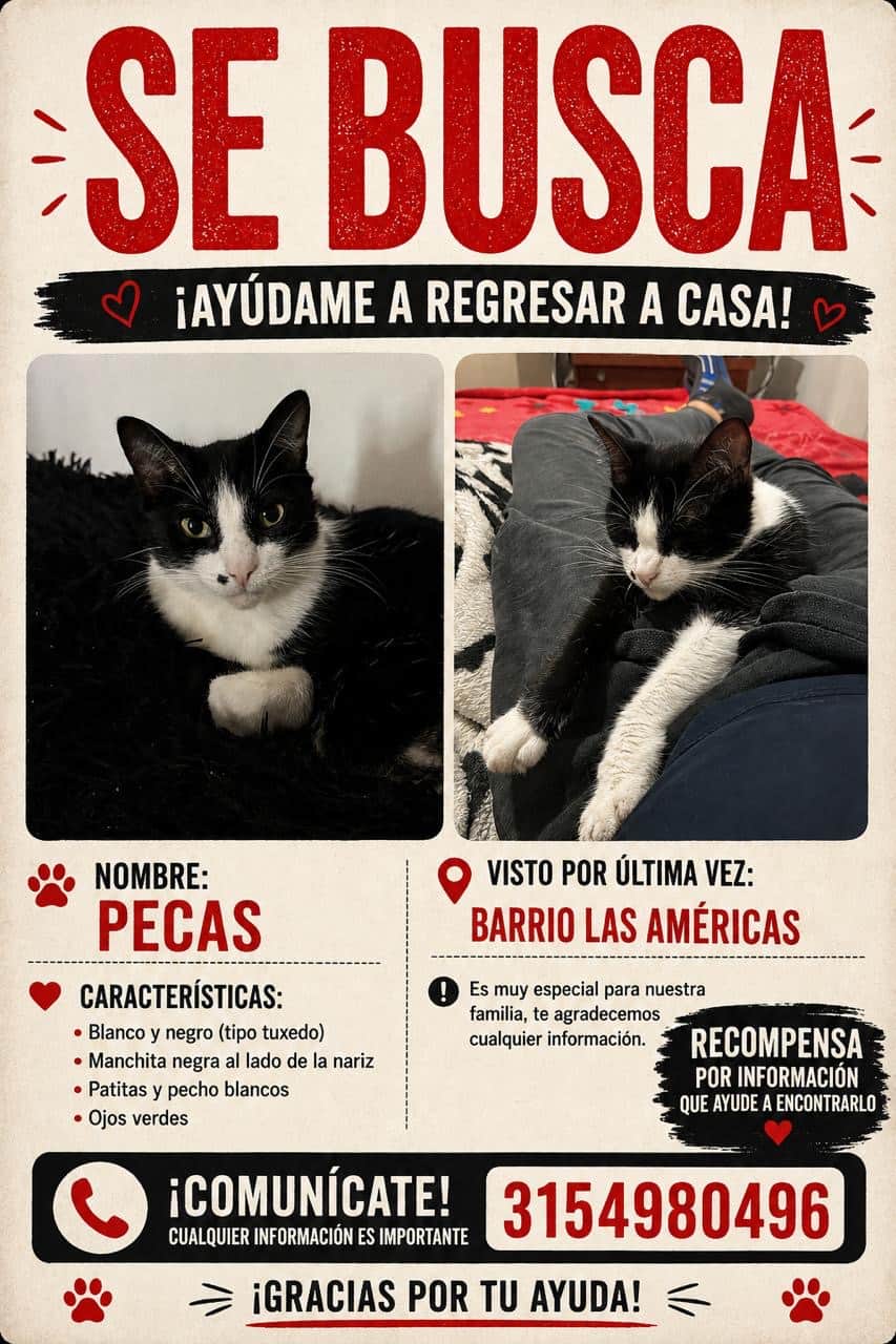 Foto de Pecas