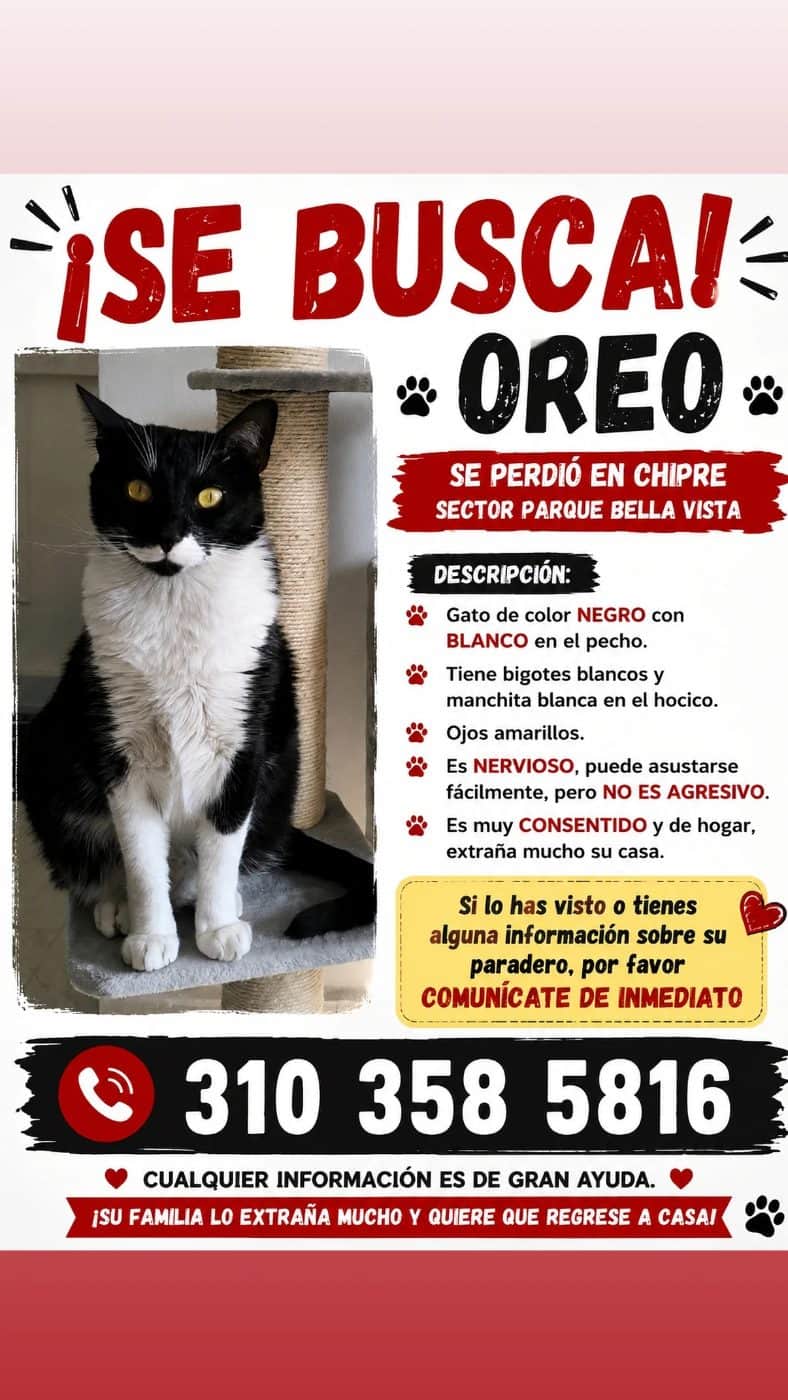 Foto de Oreo