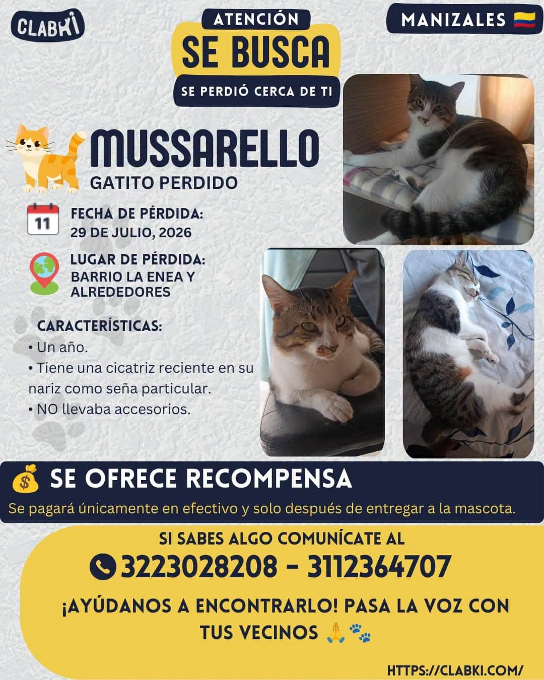 Foto de Mussarello