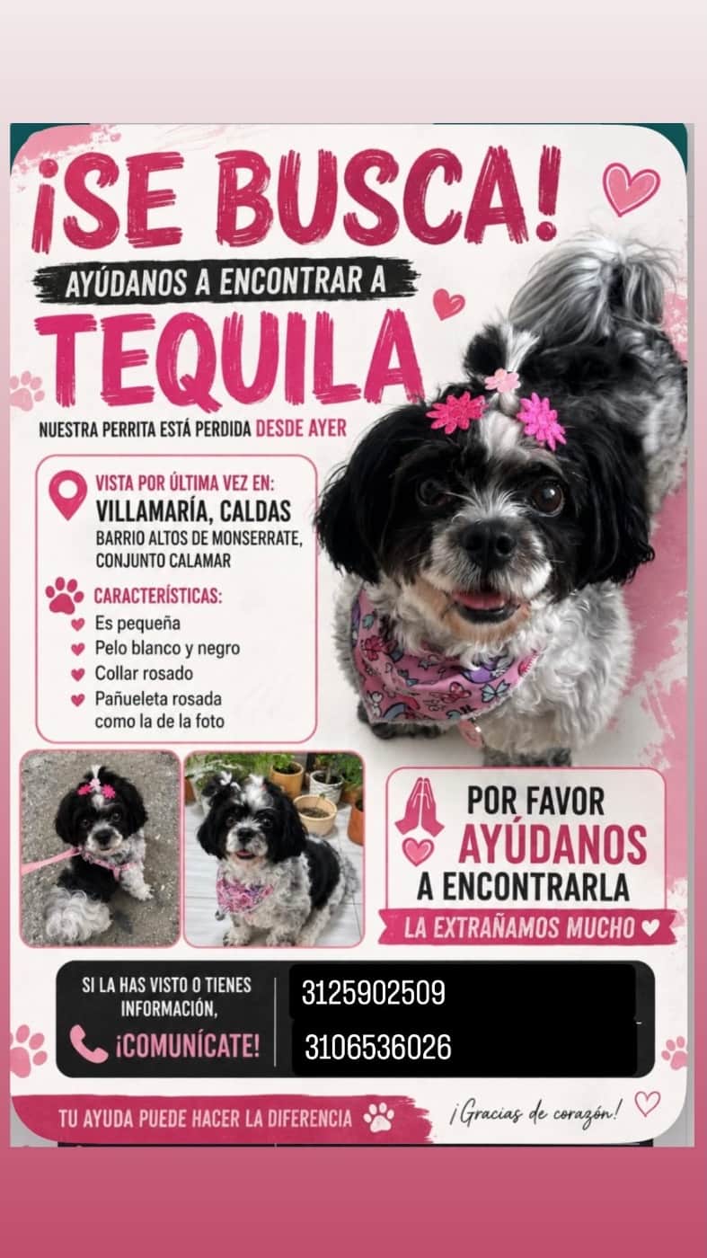 Foto de Tequila