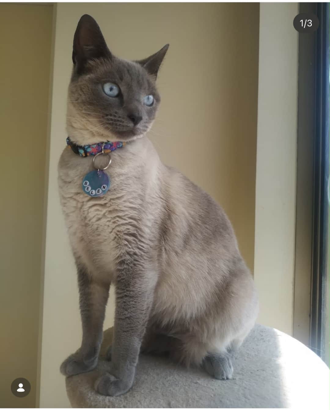 Foto de Belén