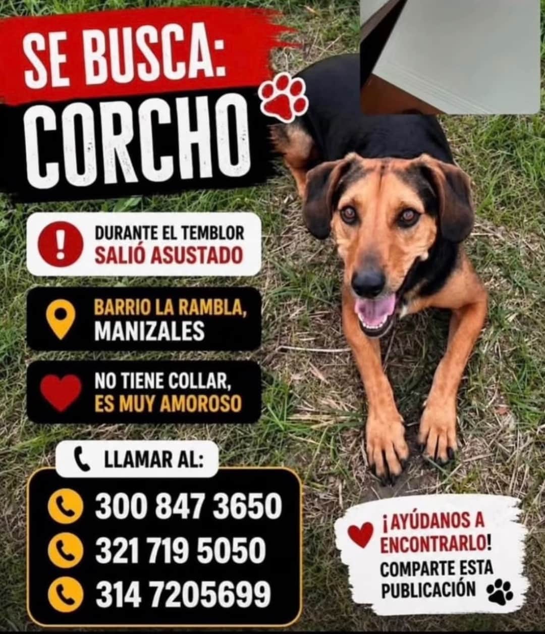 Foto de Corcho