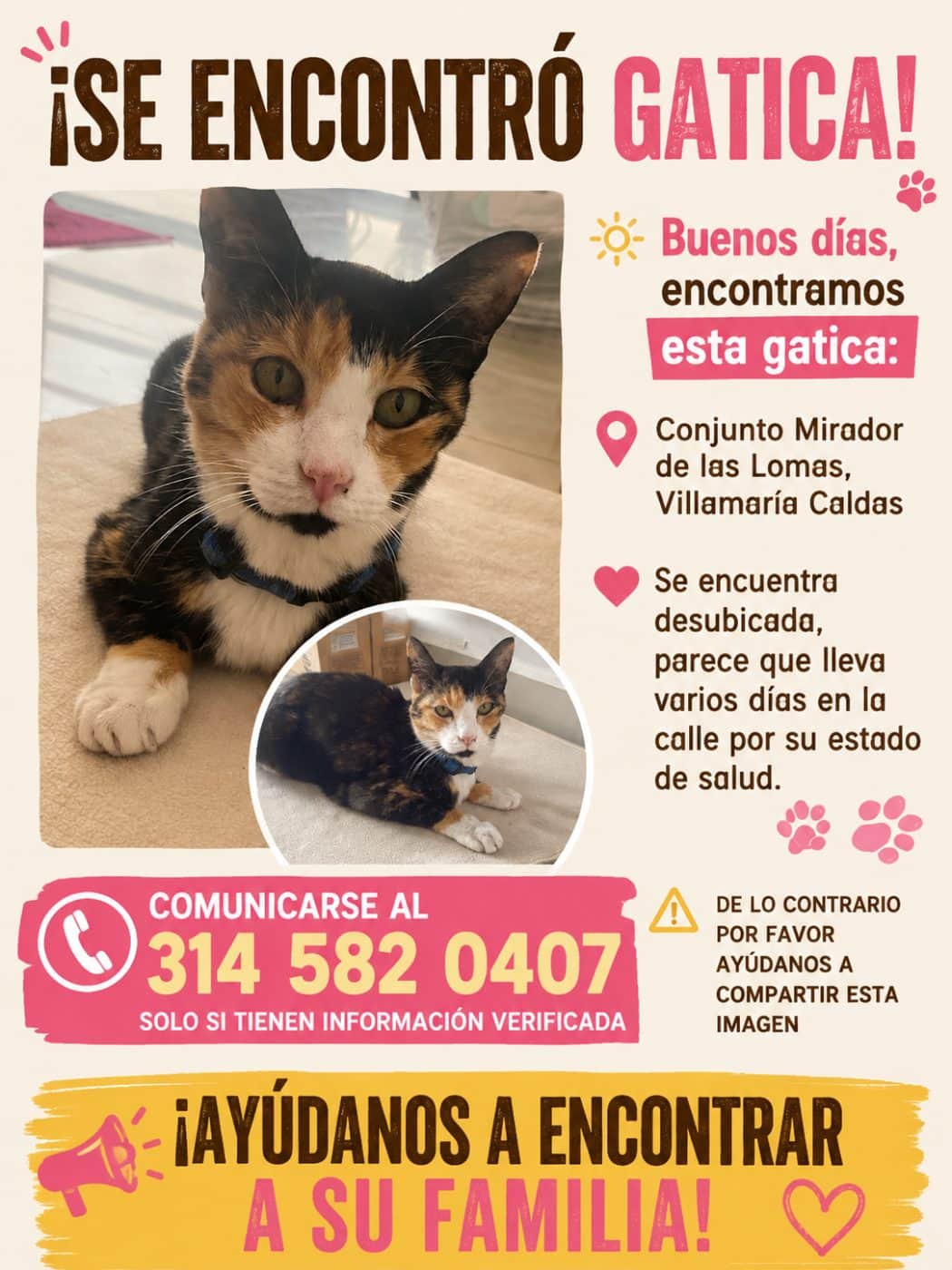 Foto de la mascota