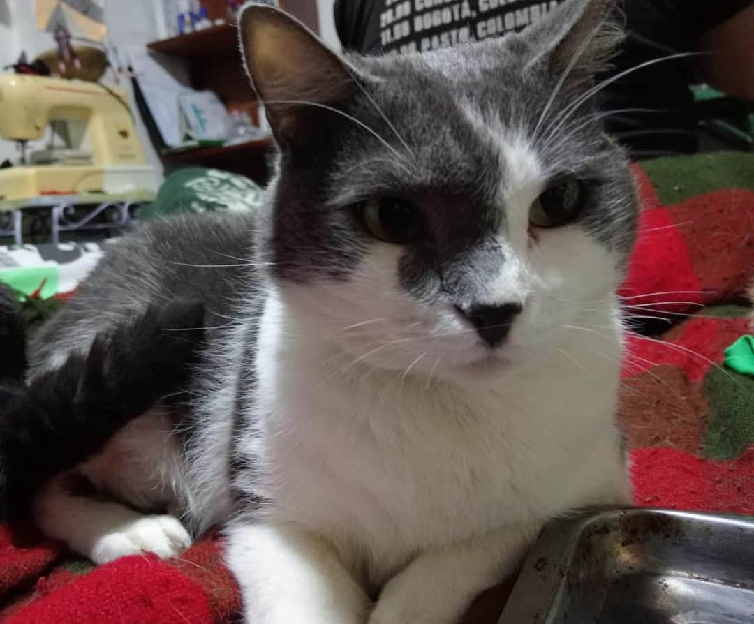 Foto de Nacho