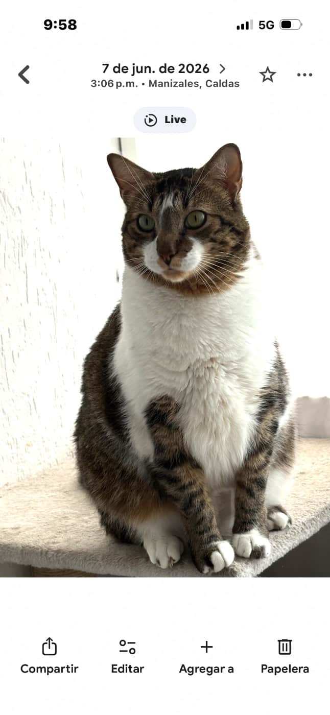Foto de Coco