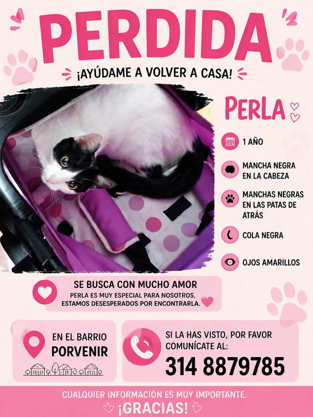 Foto de Perla