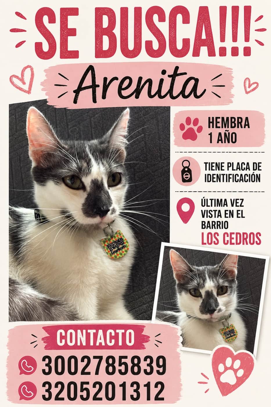 Foto de Arenita