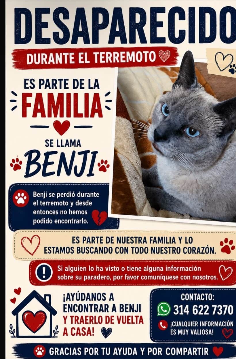 Foto de Benji