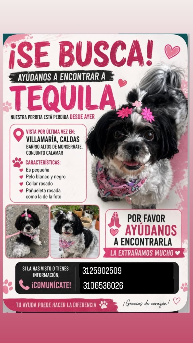 Foto de Tequila