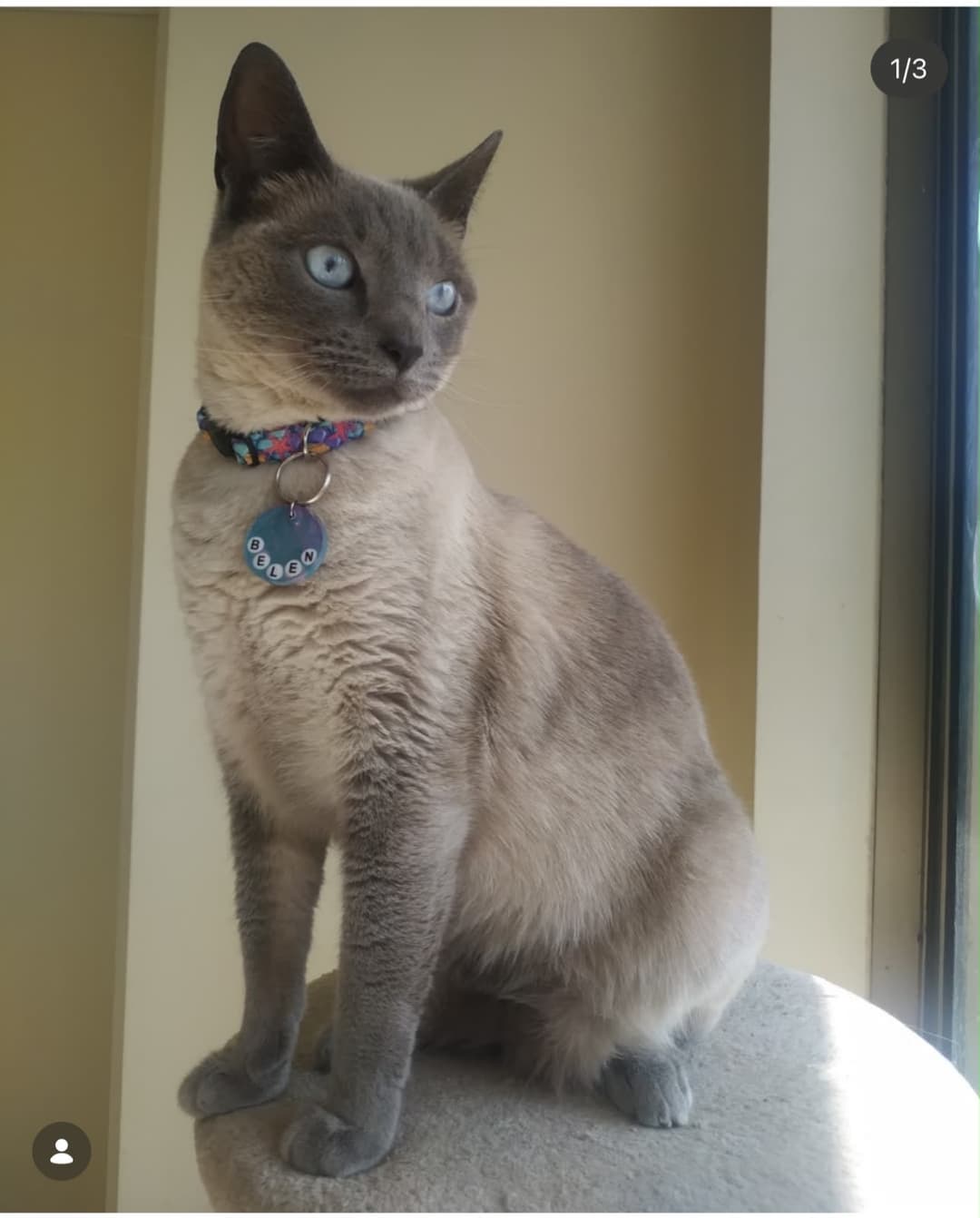 Foto de Belén