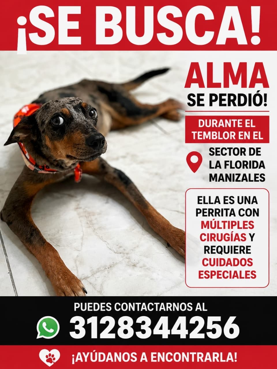 Foto de Alma