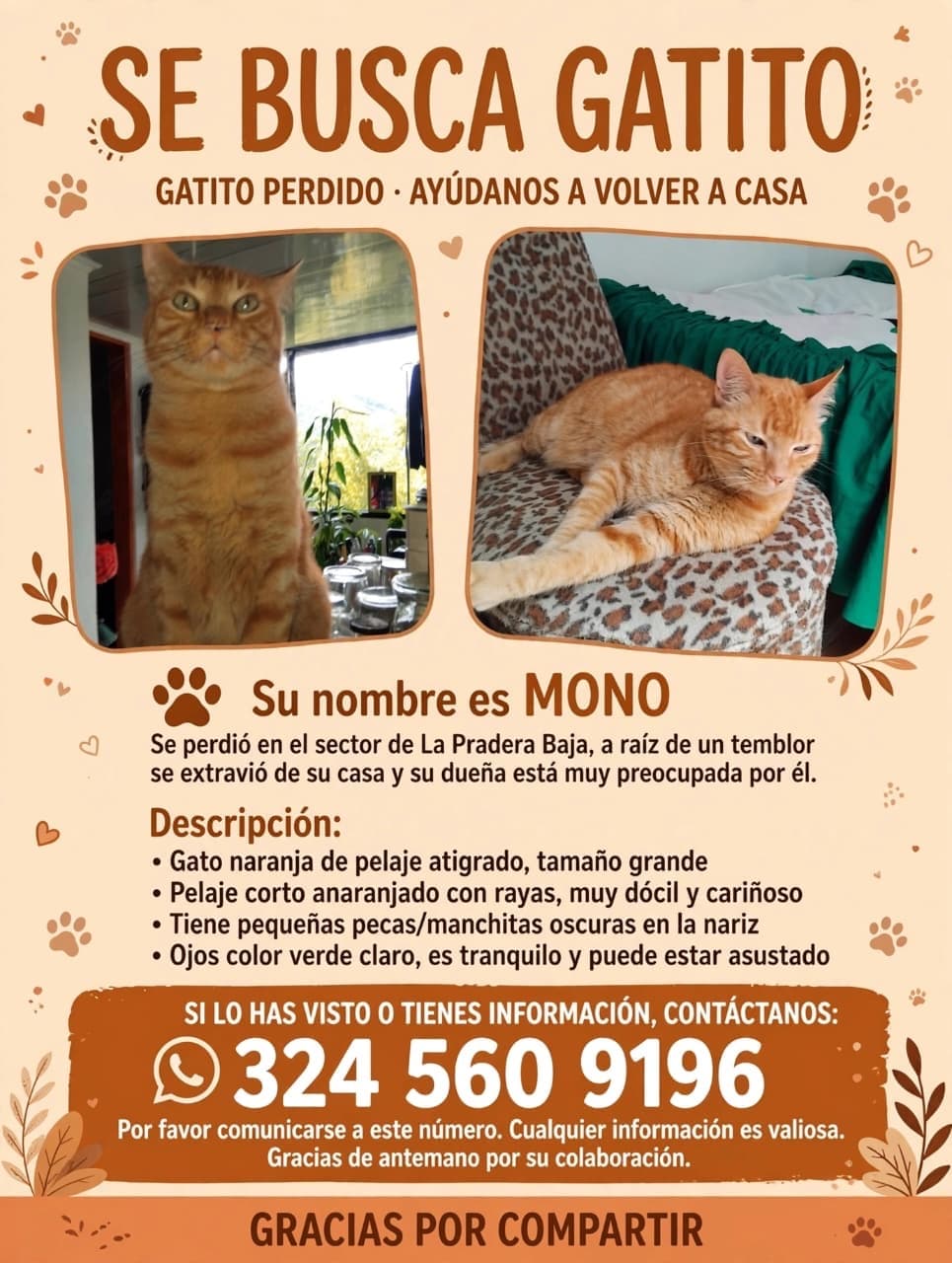 Foto de Mono