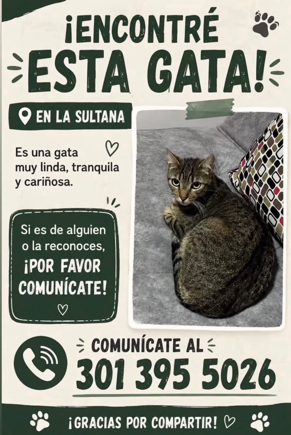 Foto de la mascota