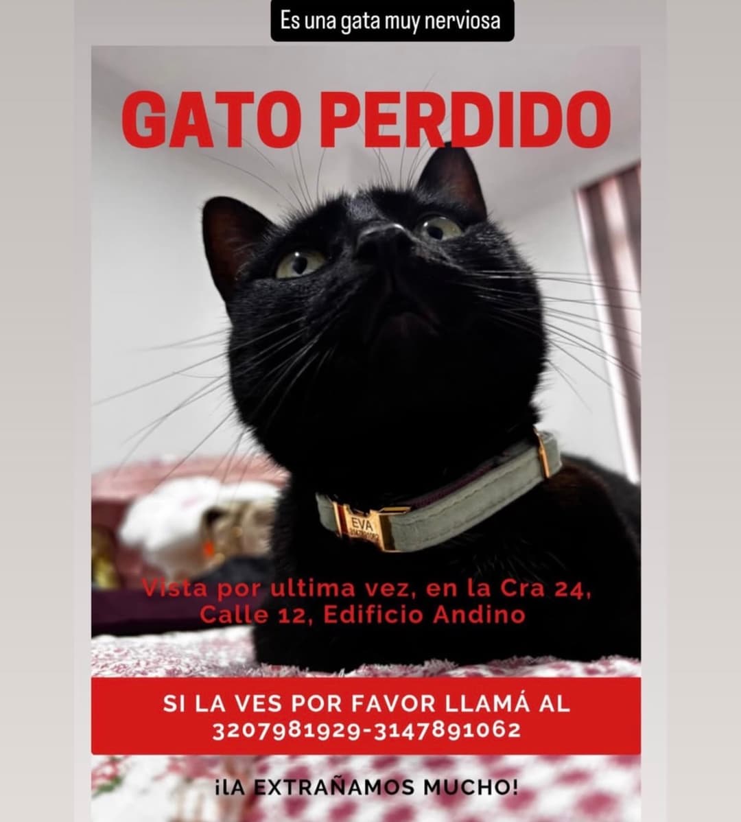 Foto de Eva