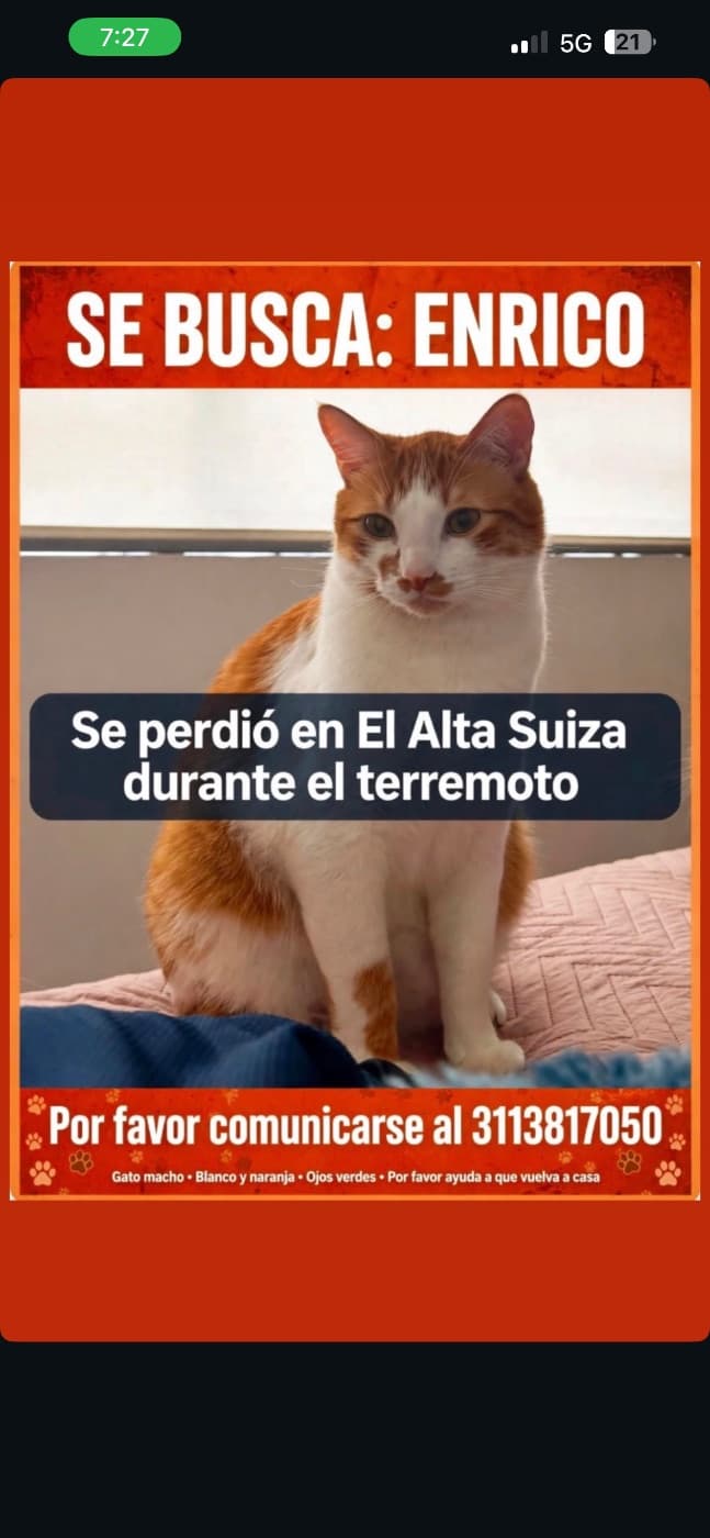Foto de Enrico