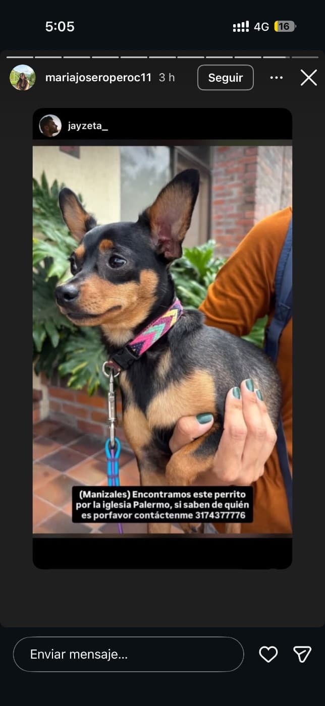 Foto de la mascota