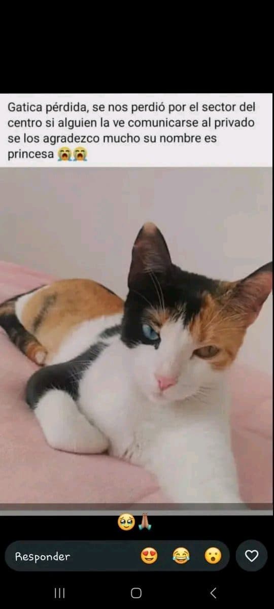 Foto de Princesa