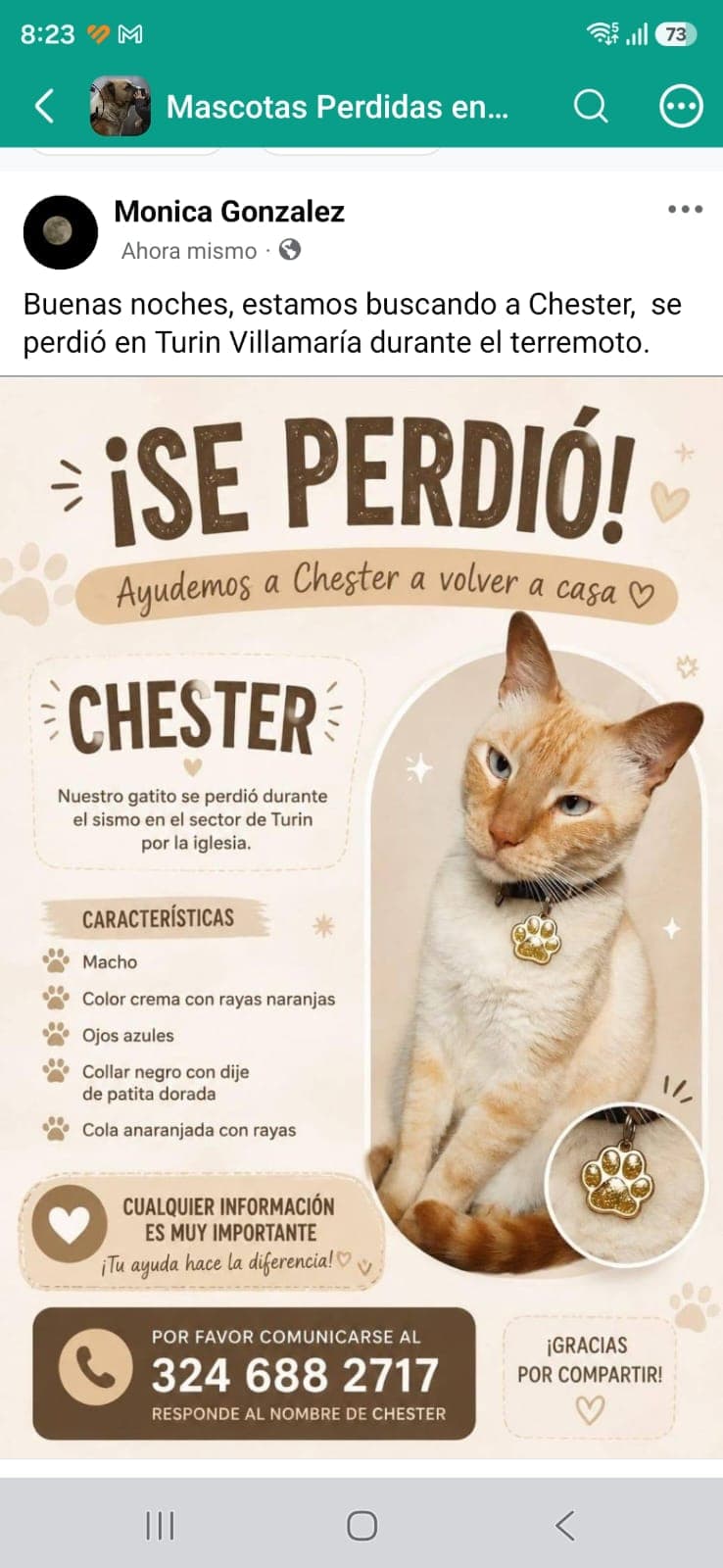 Foto de Chester