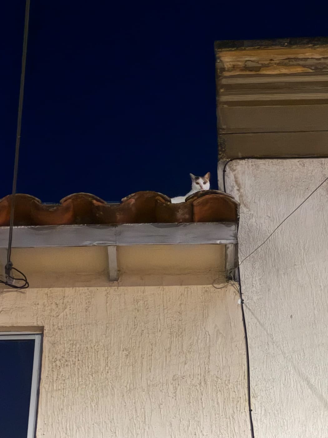 Foto de Posiblemente Kira