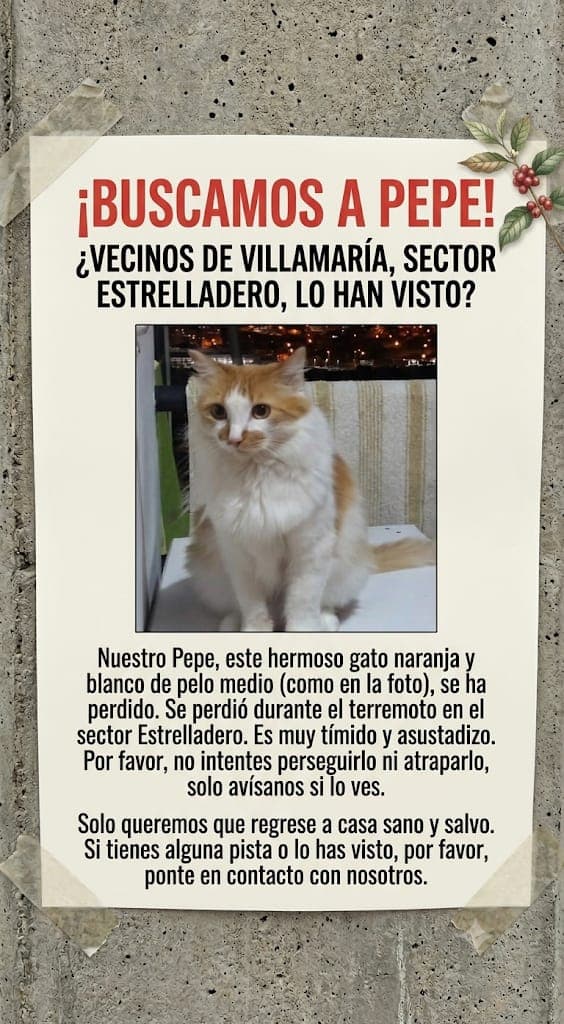 Foto de Pepe