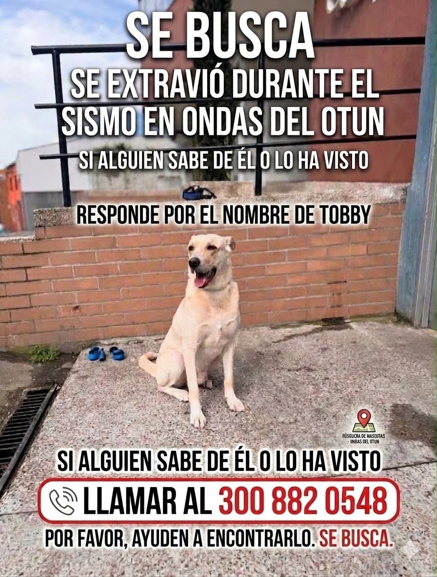 Foto de Tobby