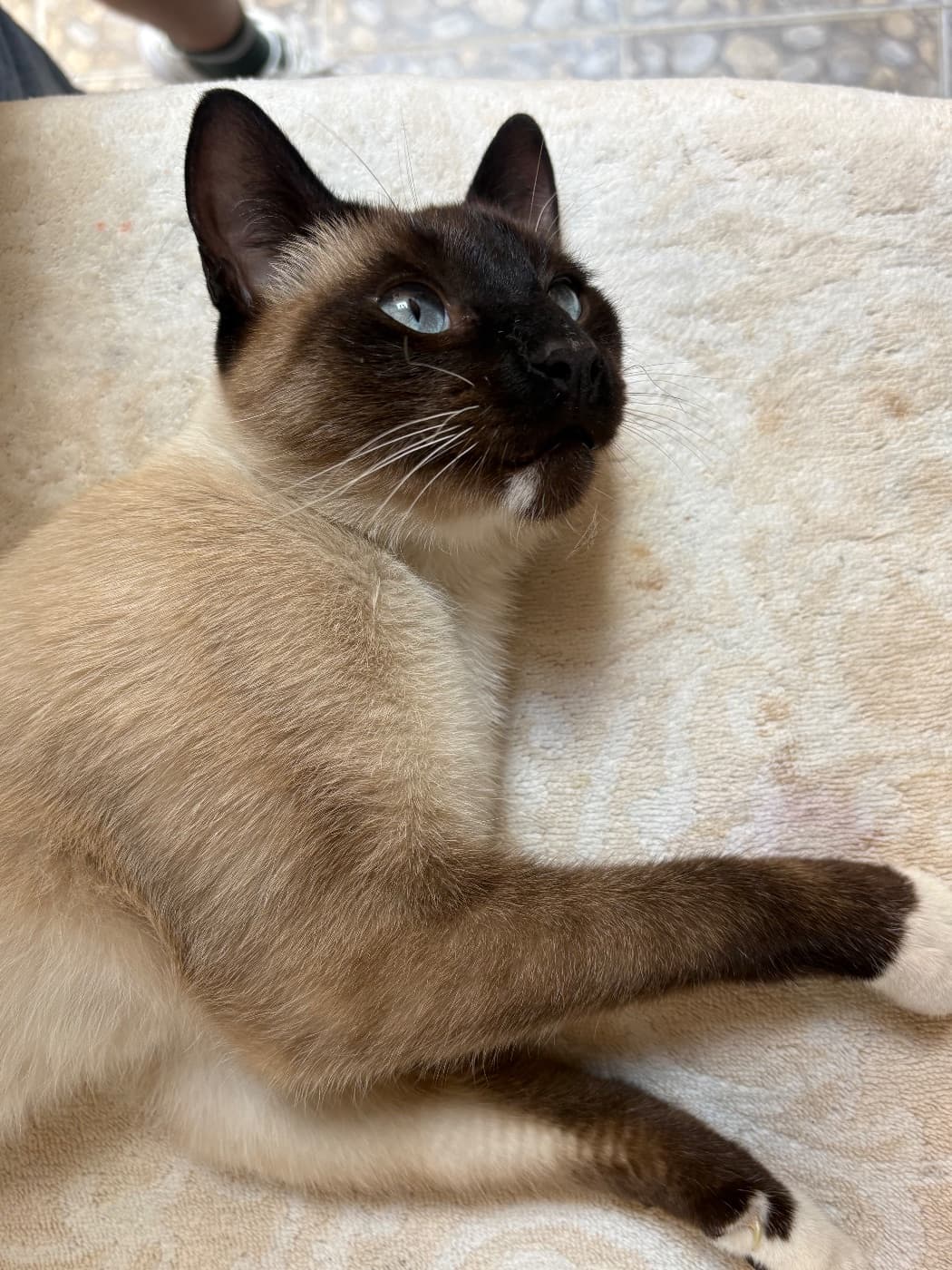 Foto de Desconocido