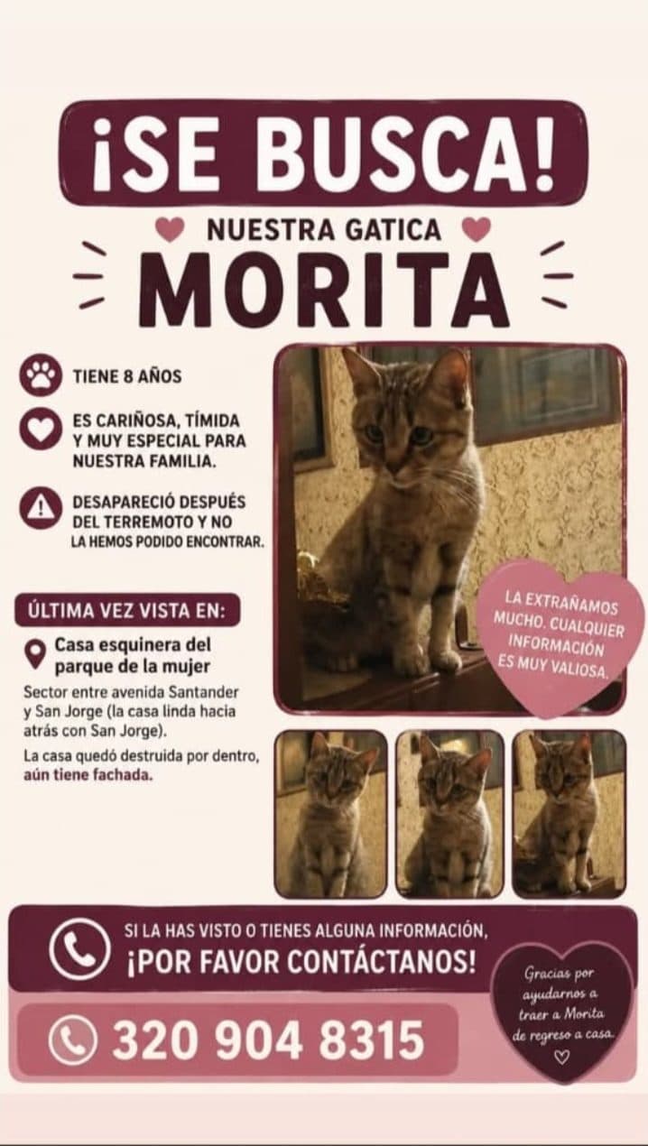Foto de Morita