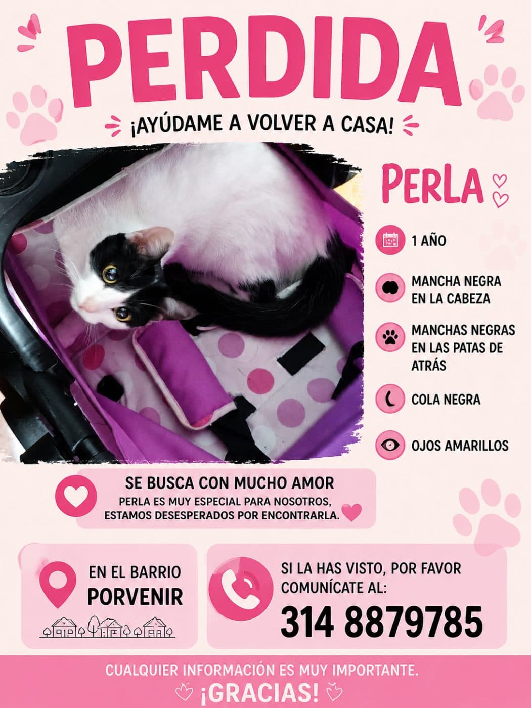 Foto de Perla