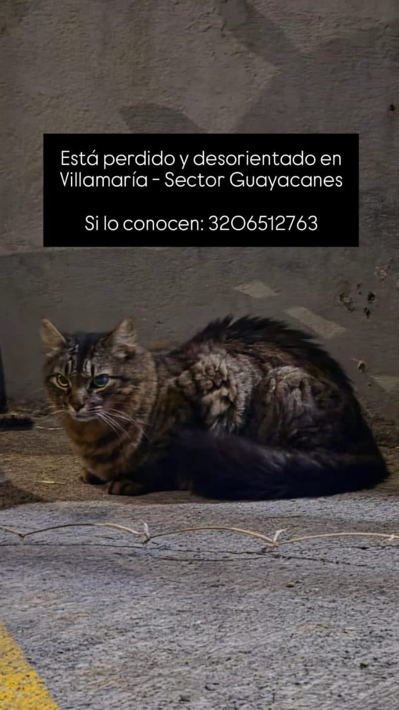 Foto de no tiene placa