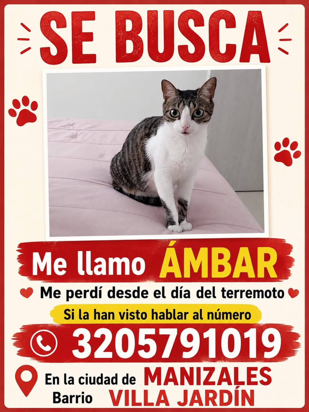 Foto de Ambar