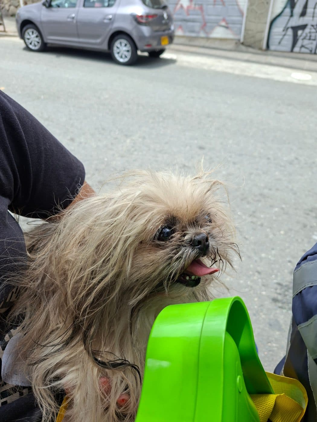 Foto de No sabemos