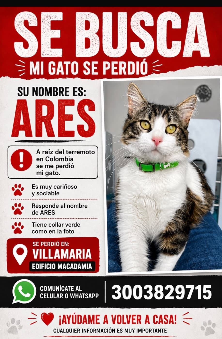 Foto de ARES