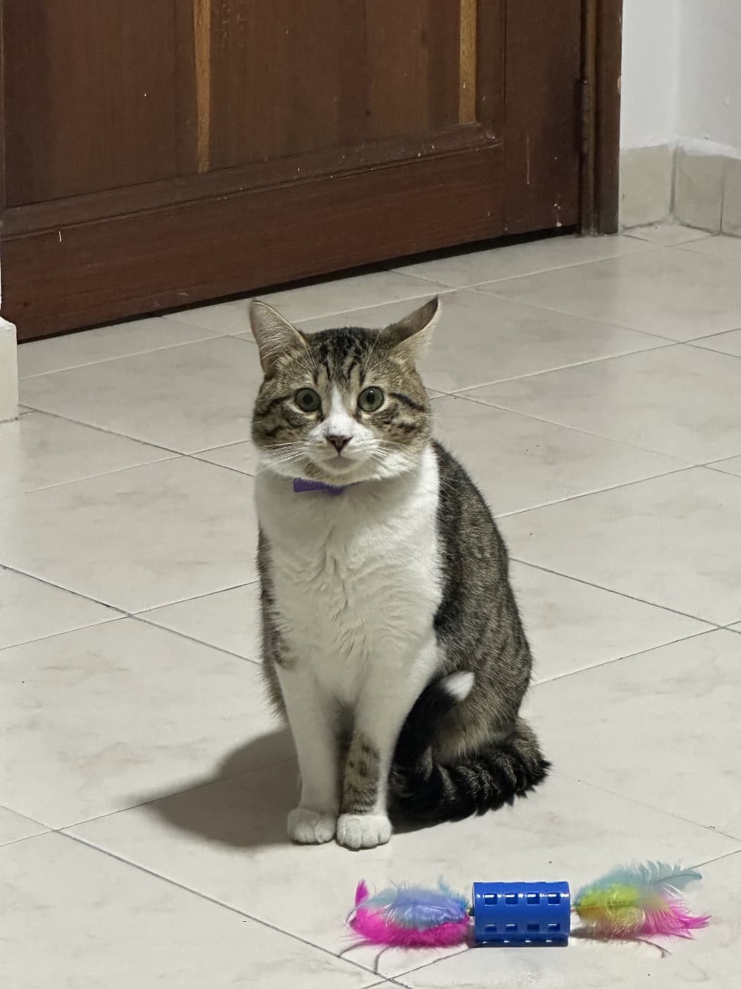 Foto de Orión