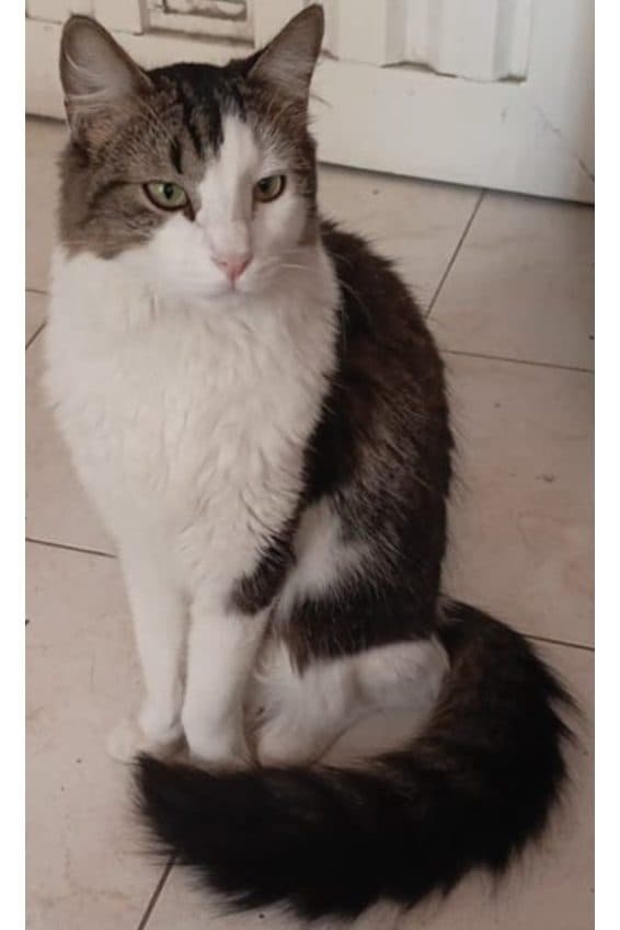 Foto de Adolf